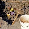 A 10-year-old child helps her family look for water in southern Angola. Failed rains in the first three months of 2019 decimated crops and livestock, affecting about 2.3 million people. 