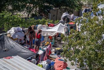 Haitians displaced by violence find refuge on the streets of the capital, Port-au-Prince.