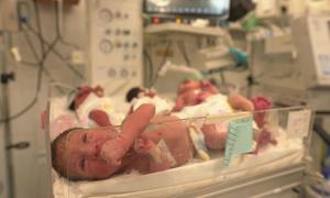 At Rafah’s Al-Helal Al-Emirati Maternity Hospital, 77 babies share 20 incubators. 