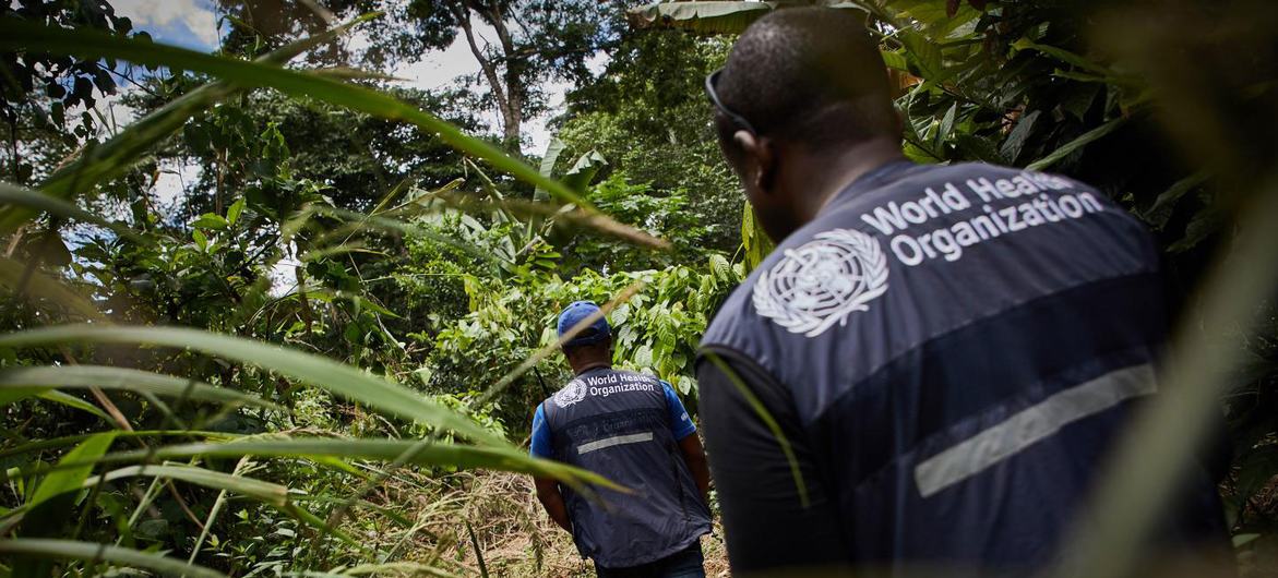 The World Health Organization (WHO) is investigating community deaths in Équateur province in DRC.