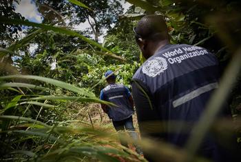 The World Health Organization (WHO) is investigating community deaths in Équateur province in DRC.