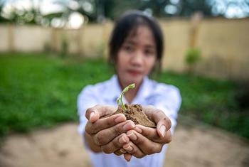 A student in Viet Nam presents a seedling.