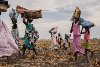 Waves of fighting have displaced families in the Upper Nile State in South Sudan. (file)