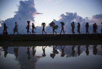 Rohingya refugees cross the border near a village in southern Bangladesh. (9 October 2017)
