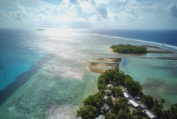 Low-lying islands in the Pacific Ocean are particularly susceptible to rising sea levels caused by climate change.